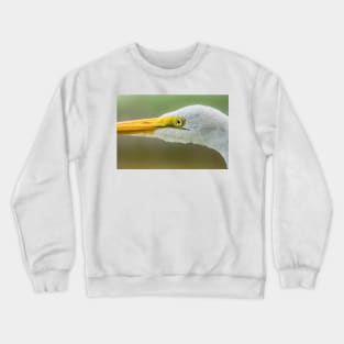 Up close with the Great Egret Crewneck Sweatshirt